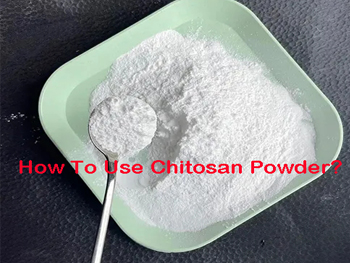 How To Use Chitosan Powder?